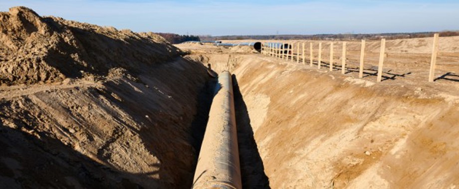 PGJ 500 Report lead image newsletter.jpg