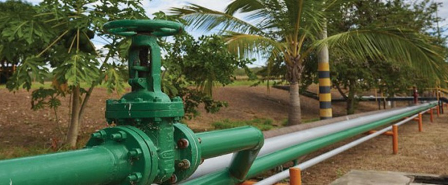 proj_peruvian 678x250.jpg