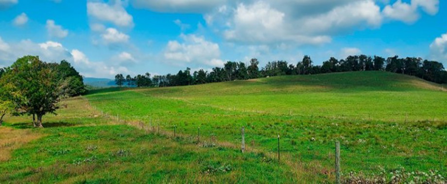 Appalachia nemec 678x250.jpg