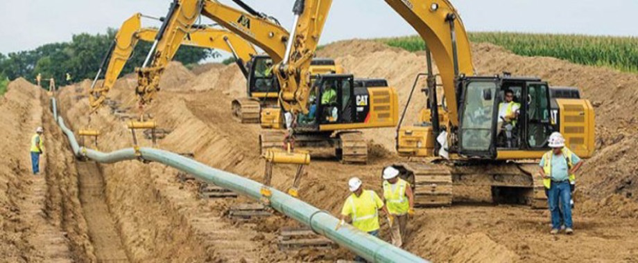 2020_minnesota-limited newsletter.jpg