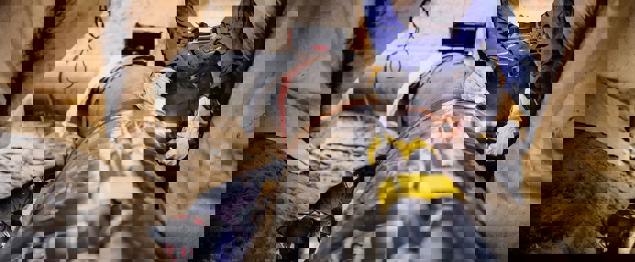 Gasunie hydrogen pipeline work.jpg