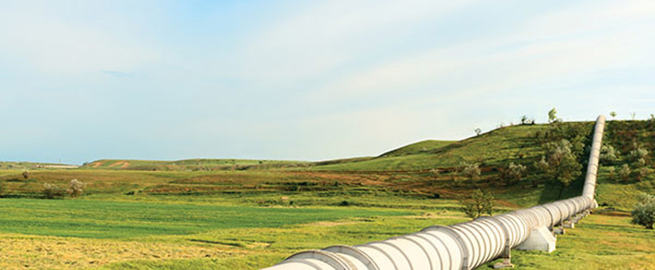 Permian_SS_140151667.jpg
