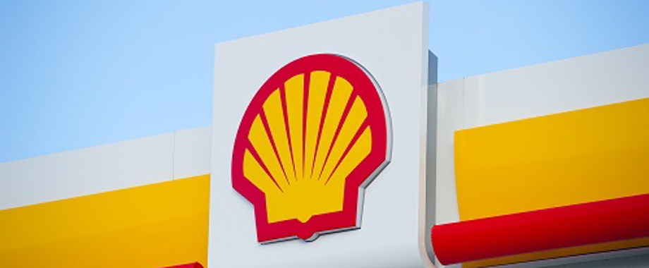 Shell-500.jpg