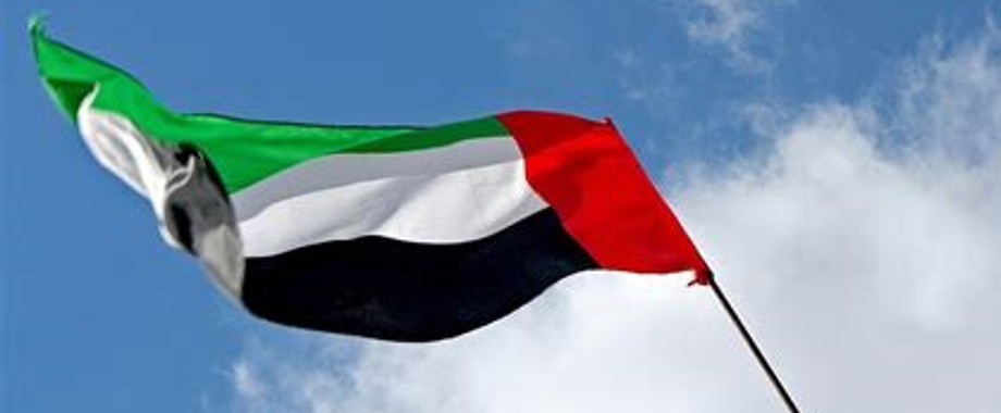 UAE Flagcrop.jpg