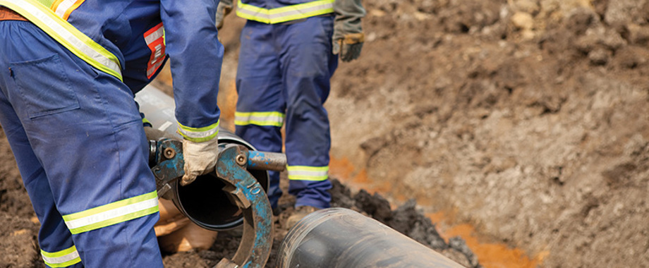 Nemec_workforce_SS107627975.jpg