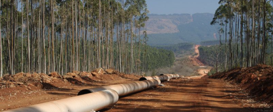 Mozambique Pipe 678X250