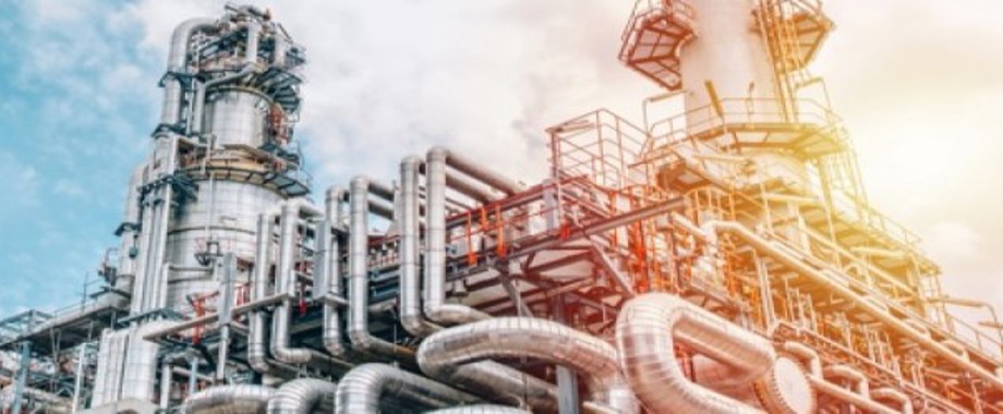 Stock Plant Newsletter